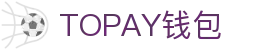 TOPAY钱包 - 安全便捷的个人财务管理工具